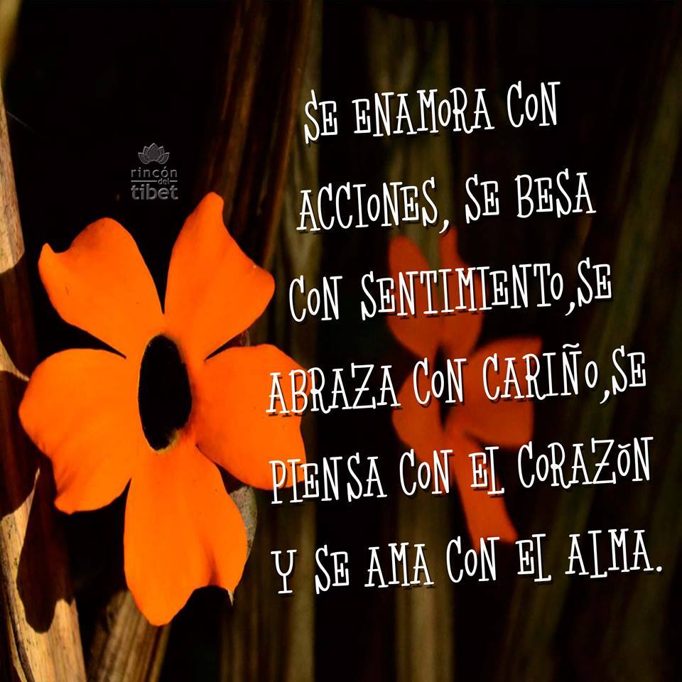 10013060_10205841699182625_8492250744448666240_n