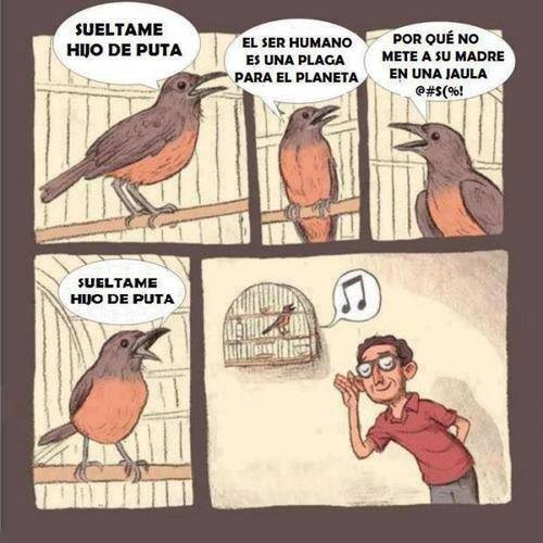 11044610_10206015771134315_2569858487922130082_n