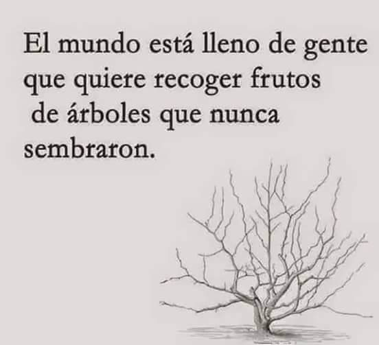 12316076_10207988590653570_6707480423952873690_n