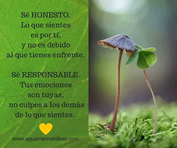 13094319_10209219933796379_7611464064008179142_n