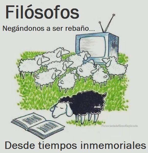 14292297_10210349138505791_4010328202825940636_n