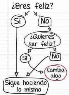 15178247_10211023555045783_51430548336610316_n