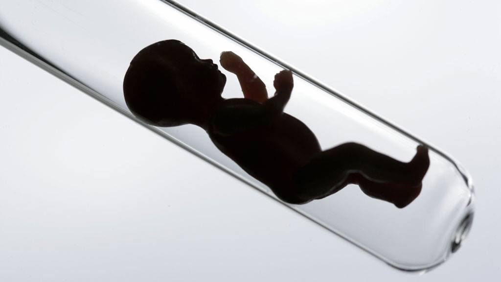 18671807_10212819285137913_7677242234780846160_o