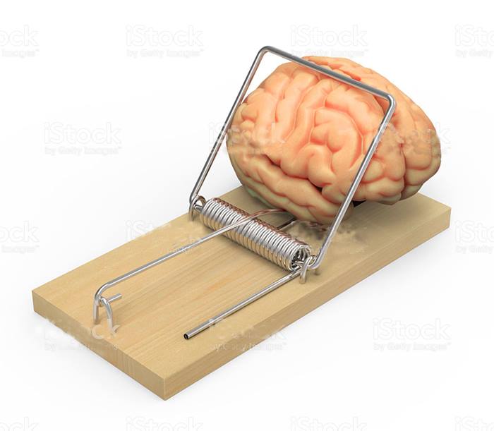 19424234_10213113946984275_5532569532321425521_n