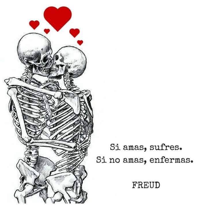 21761374_10213872247861323_8829696227863453533_n