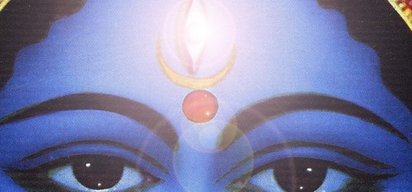 22196361_10214019336058436_3809767086428691726_n