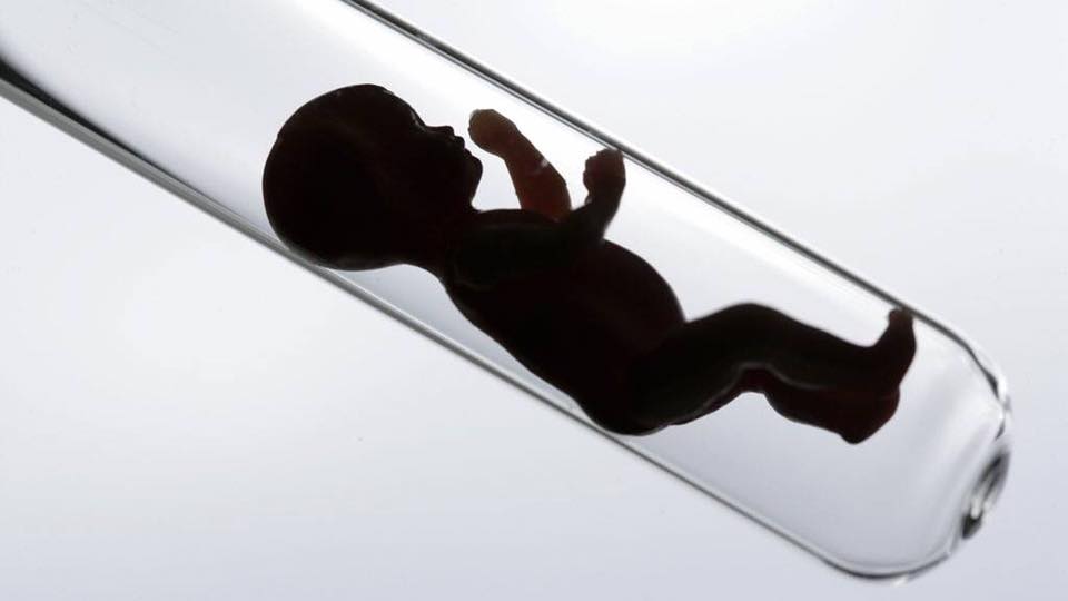 33708915_10215954594318683_4830008328593604608_n