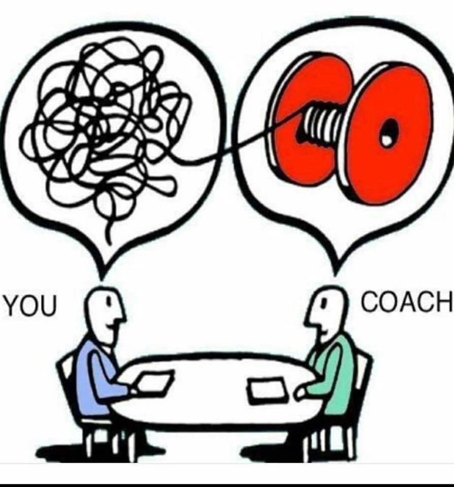 36189160_10216176925716829_7495604747777343488_n