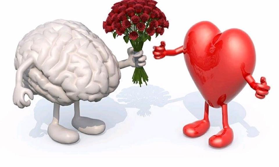 36228150_10216176865035312_1688541215324110848_n