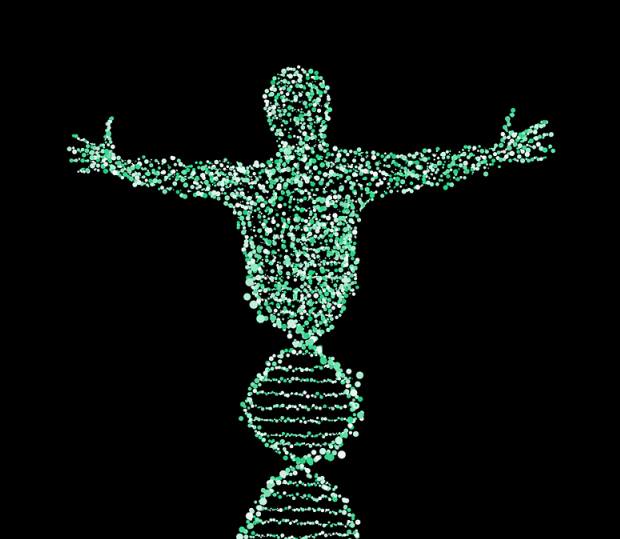 46408482_10217292195997889_4161722614315745280_n