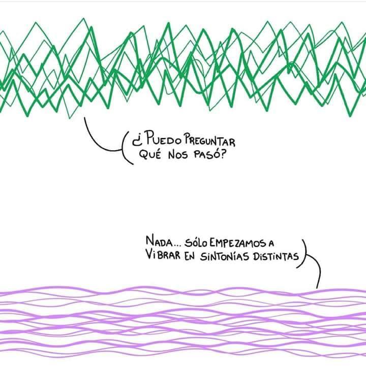 46463285_10217280977837442_3268894648298373120_n